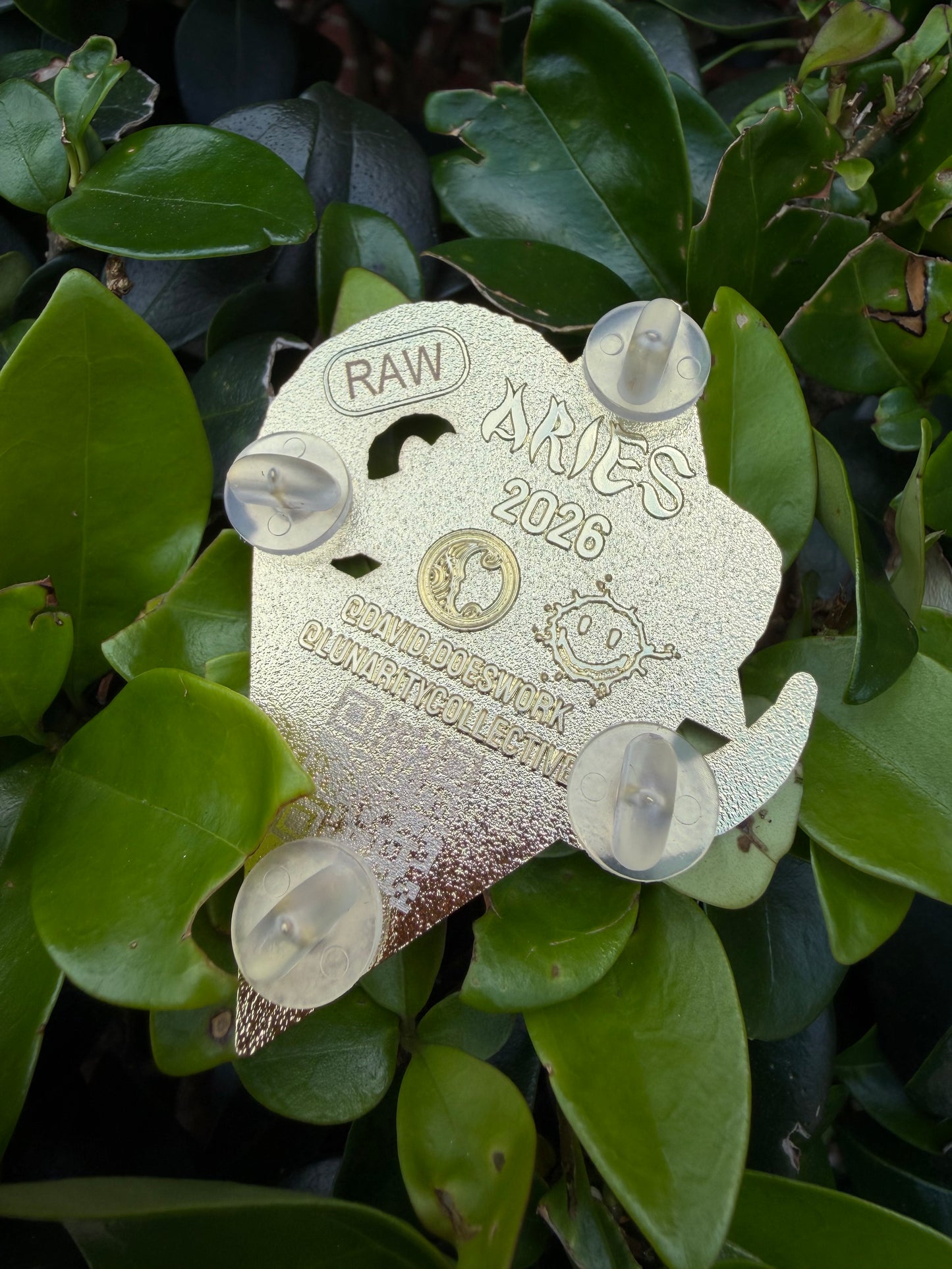 Aries Raw Pin