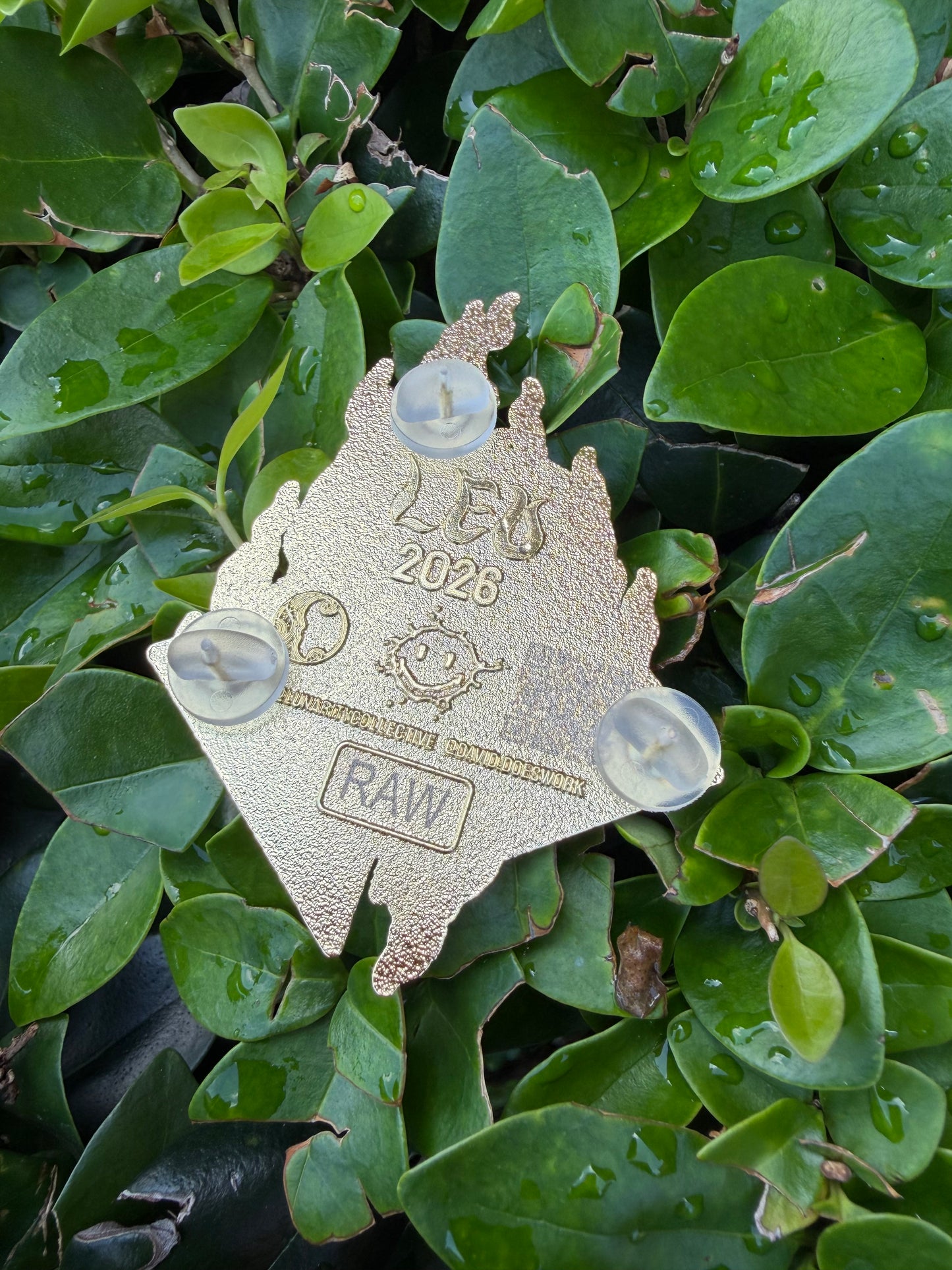 Leo Raw Pin