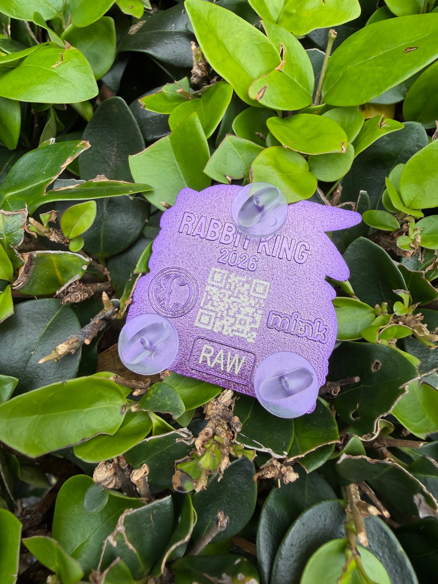 Rabbit King Raw Pin
