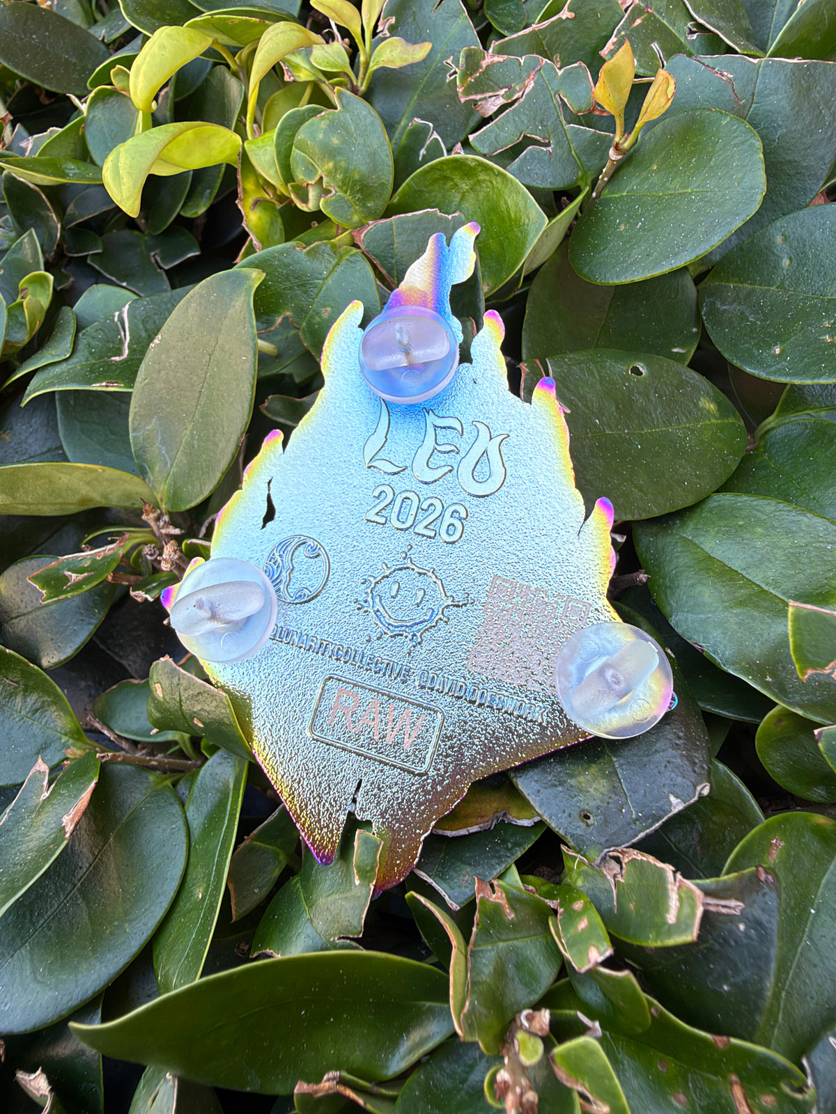 Leo Raw Pin