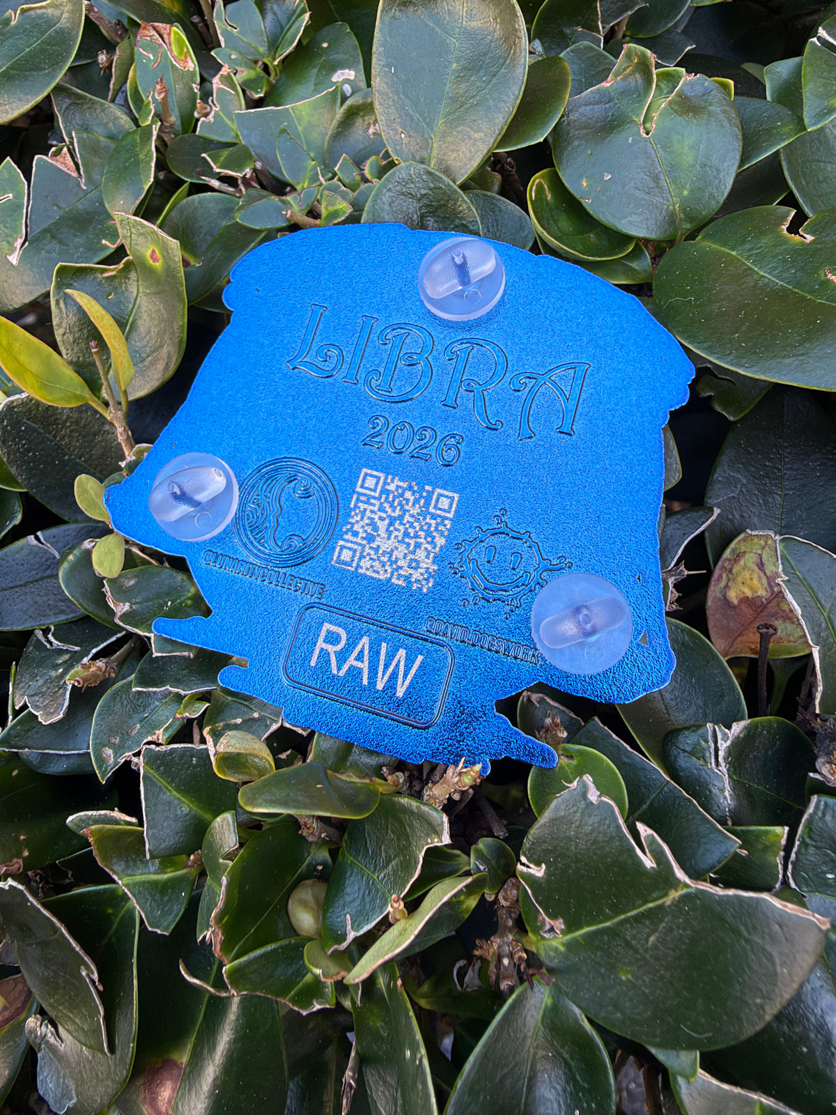 Libra Raw Pin