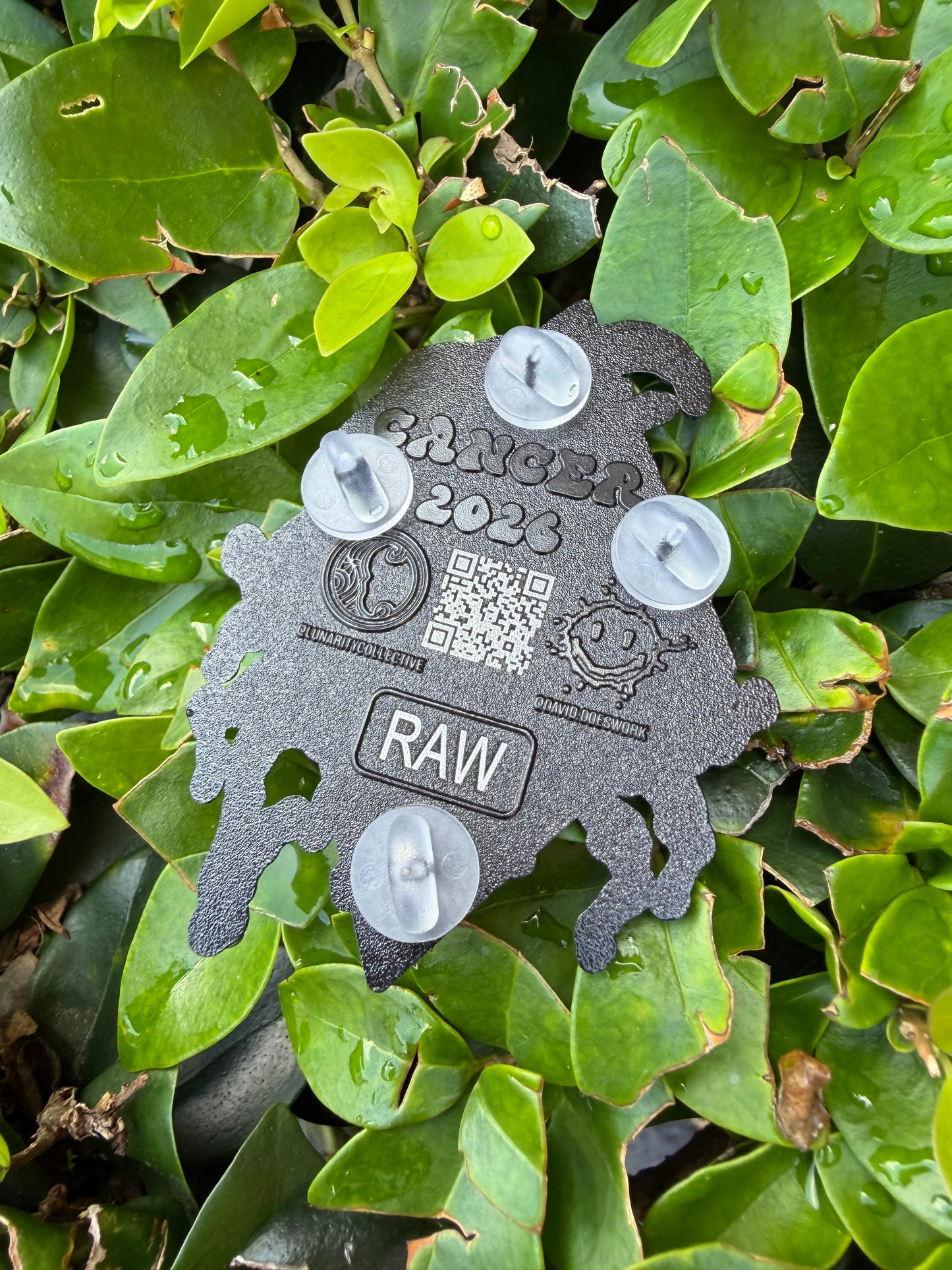 Cancer Raw Pin