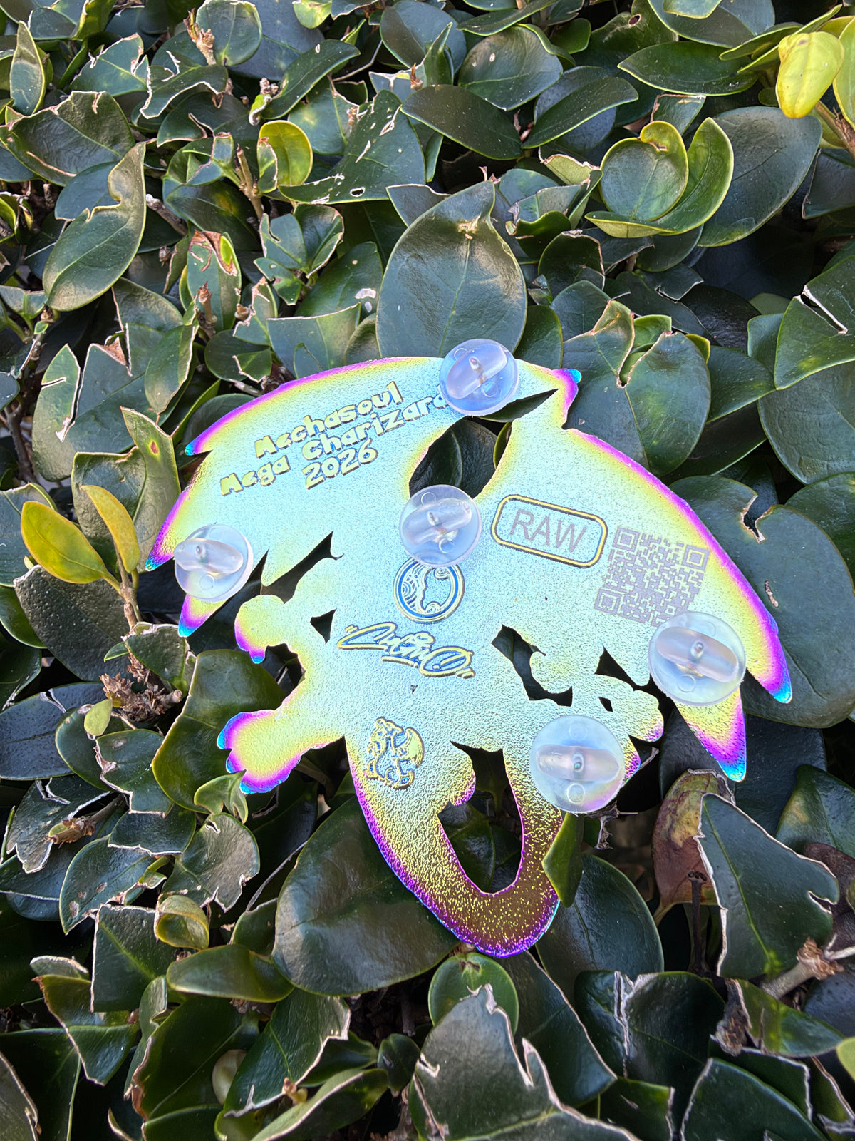 Mechasoul Mega Charizard Raw Pin