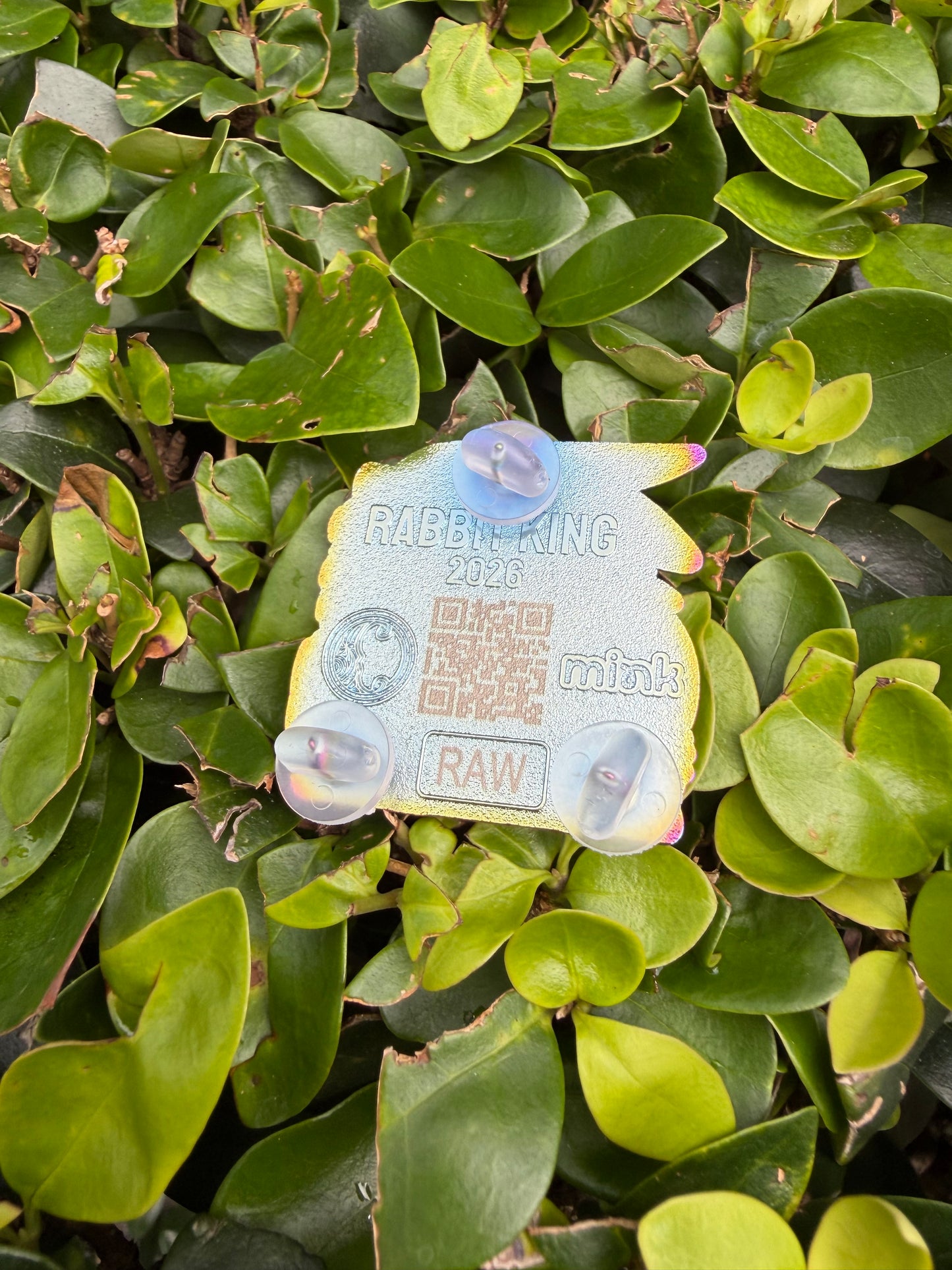 Rabbit King Raw Pin
