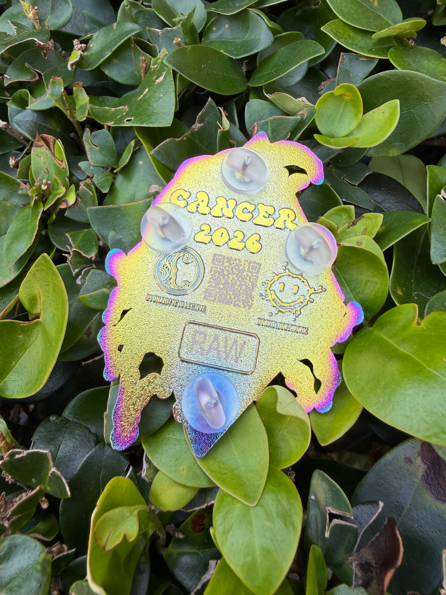 Cancer Raw Pin