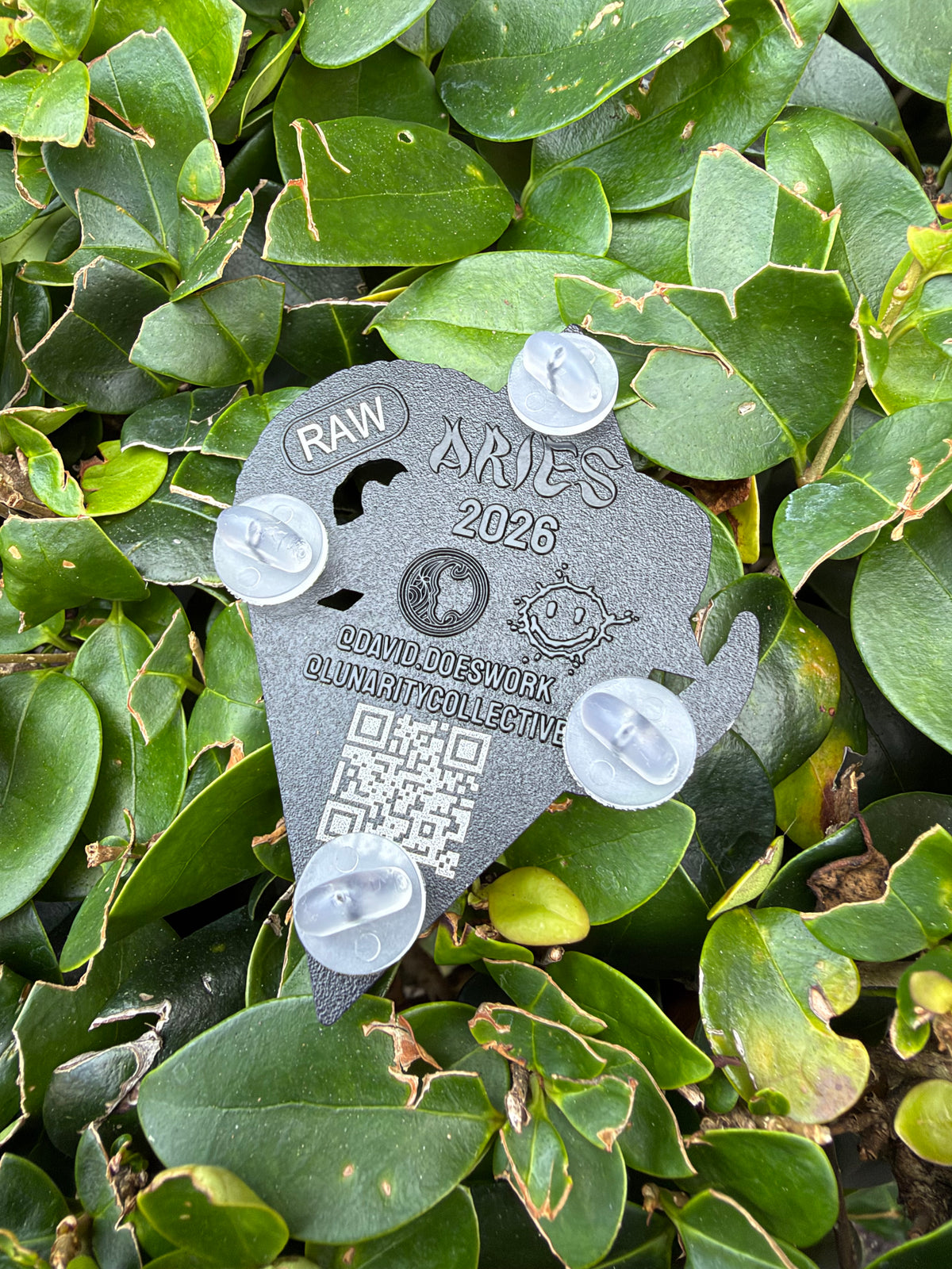 Aries Raw Pin