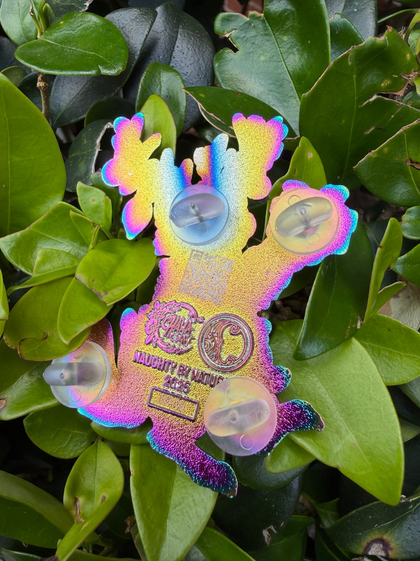Naught By Nature Raw Pin