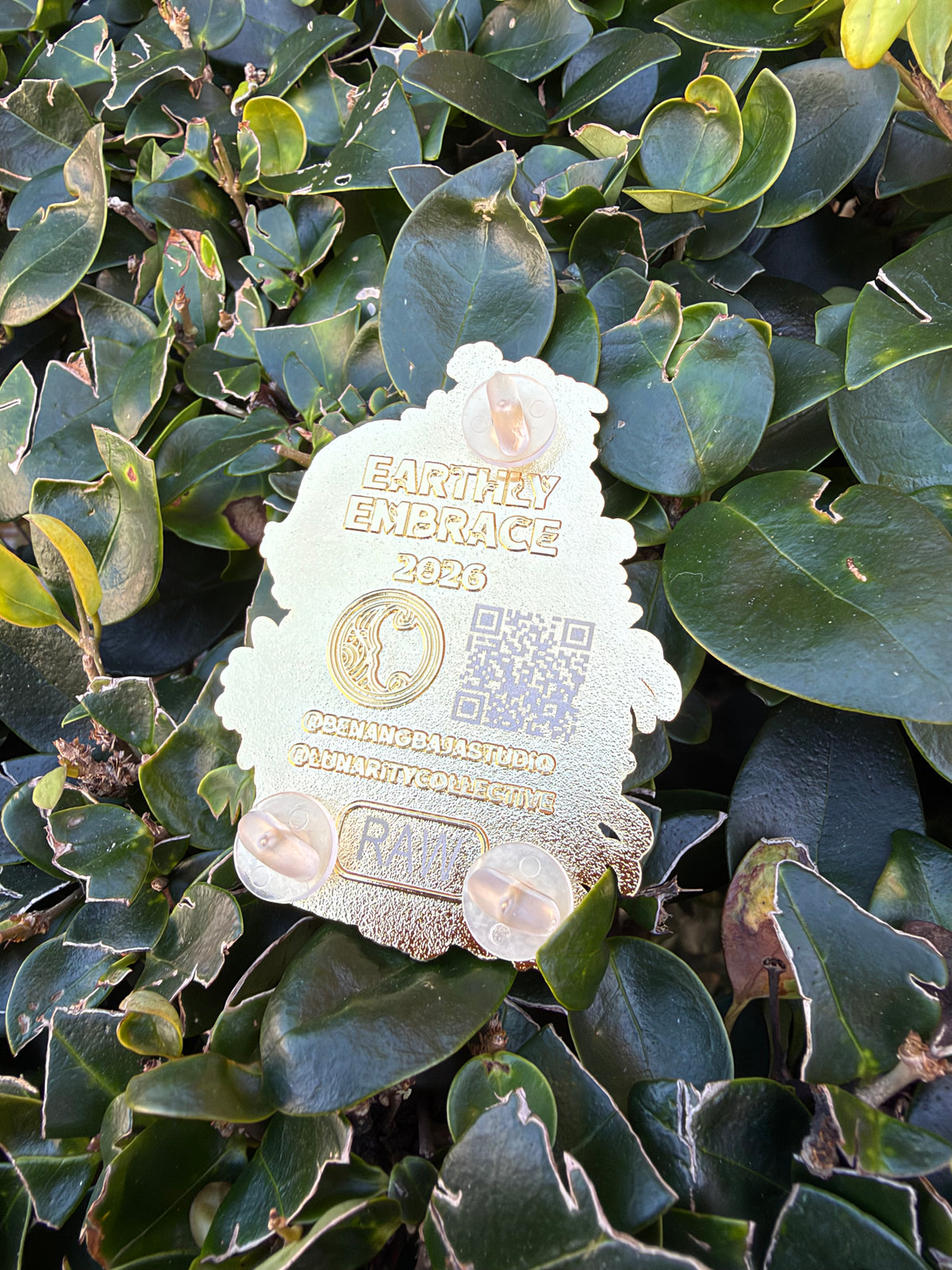 Earthly Embrace Raw Pin