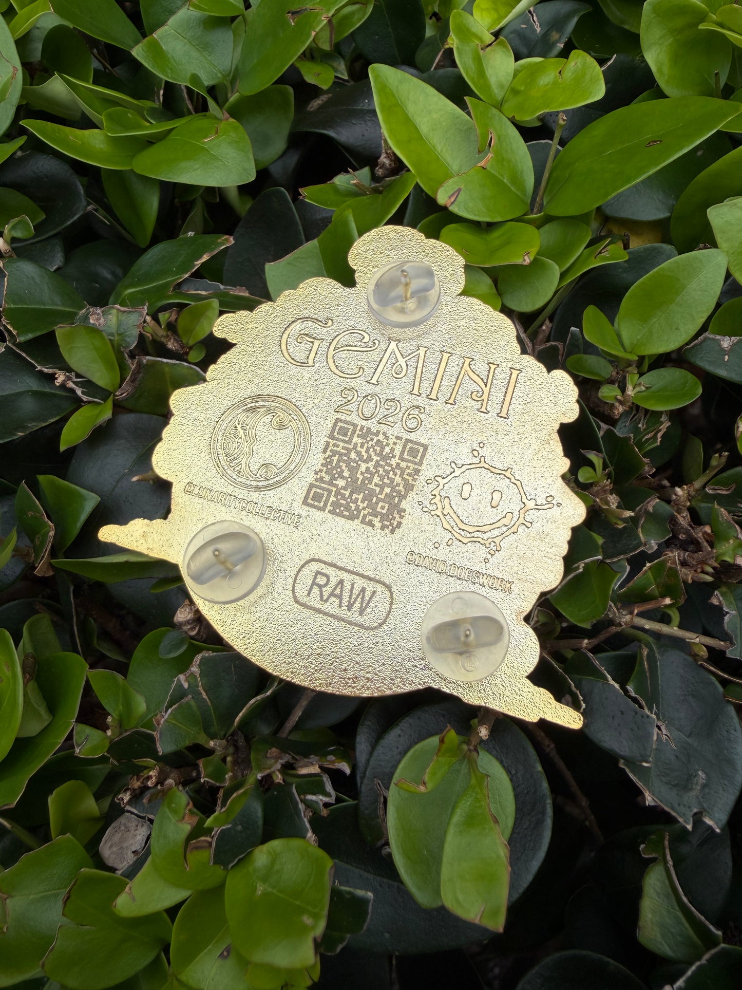 Gemini Raw Pin