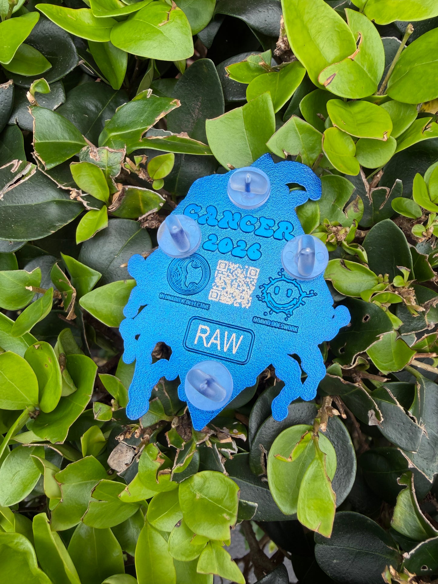 Cancer Raw Pin