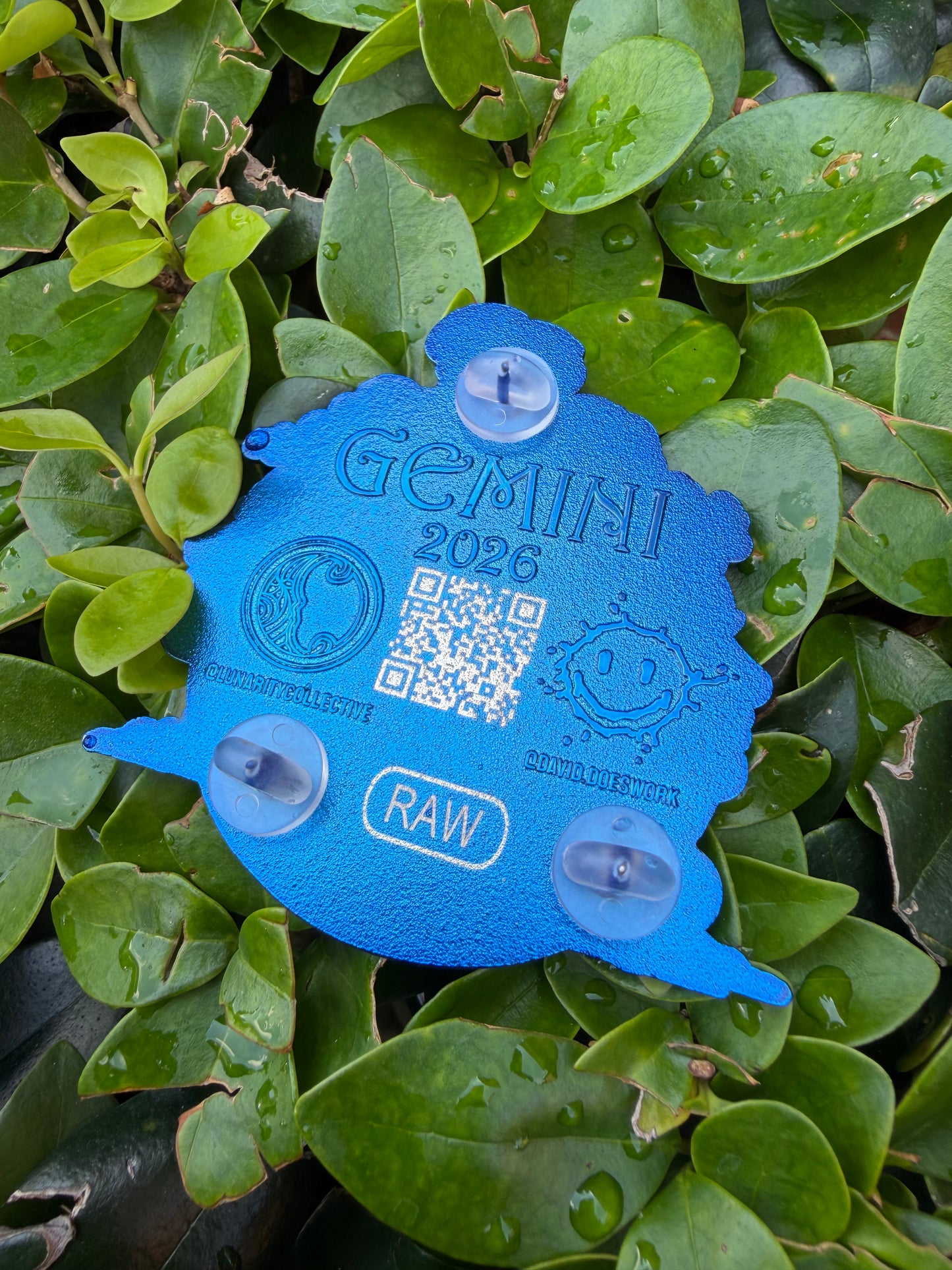 Gemini Raw Pin