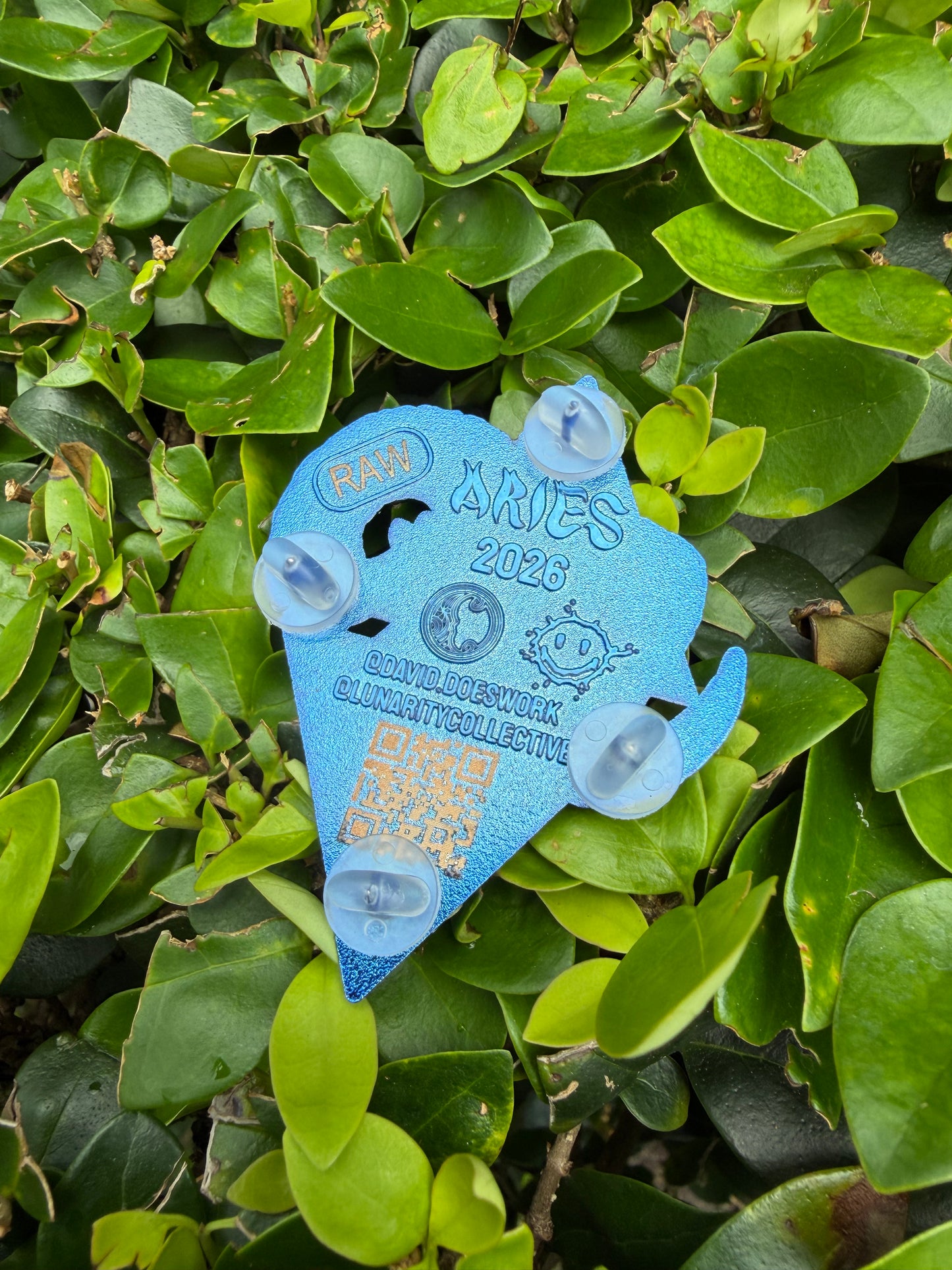 Aries Raw Pin